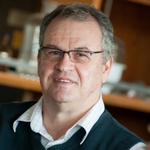 Marcello Veiga, PhD