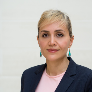 Farinaz Havaei, RN, PhD